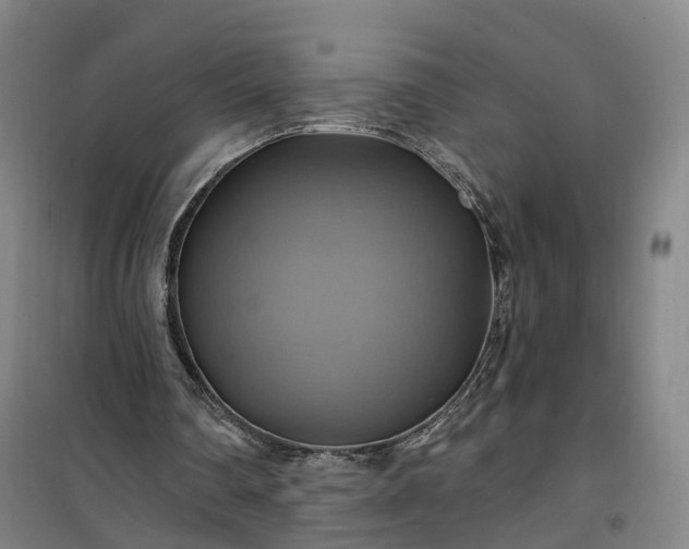 X0000101160290200807111035