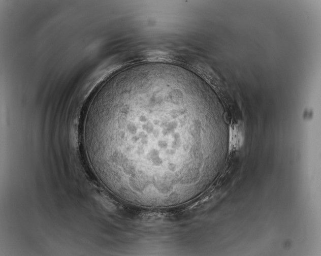 X0000101160291200807111035