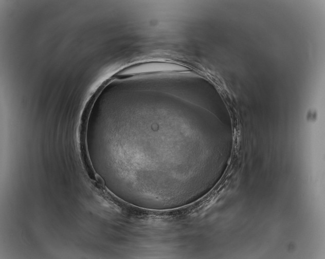 X0000101160292200807111035