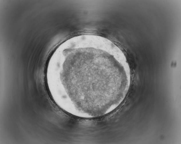 X0000101160293200807111035