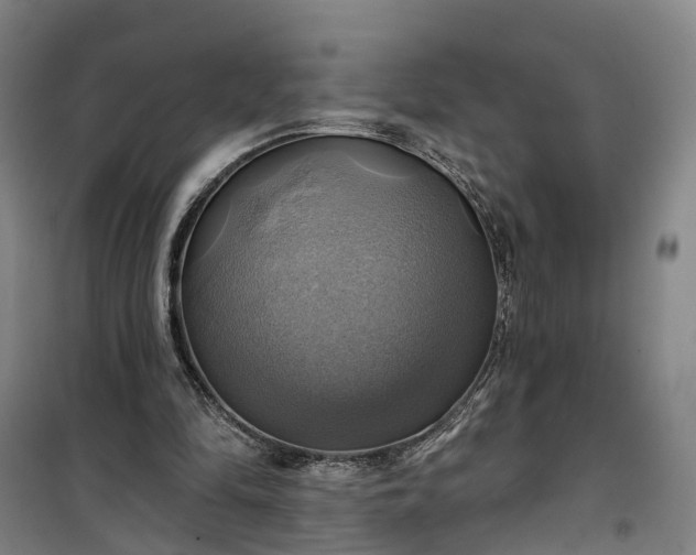 X0000101160294200807111035