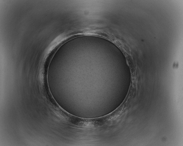 X0000101160295200807111035