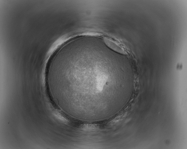 X0000101160296200807111035