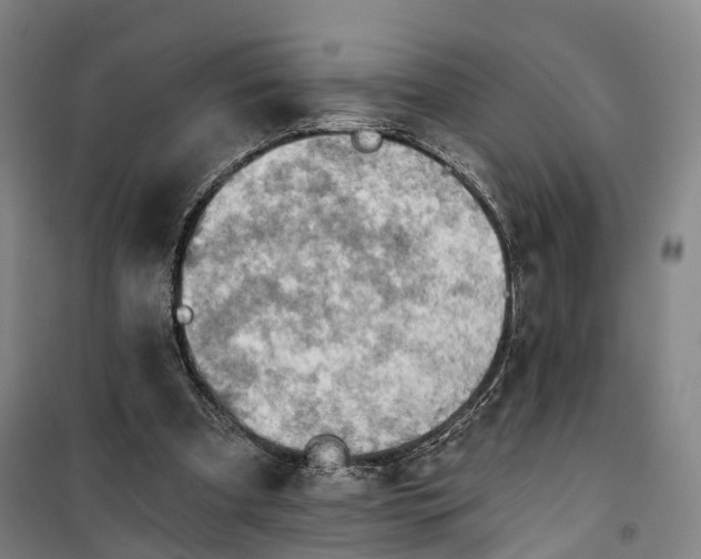 X0000101160297200807111035