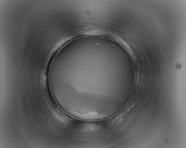 X0000101160298200807111035