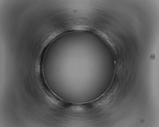 X0000101160299200807111035