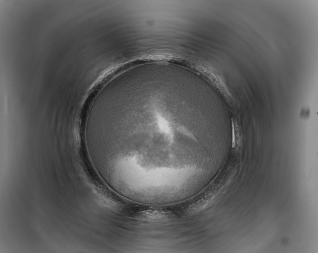 X0000101160300200807111035