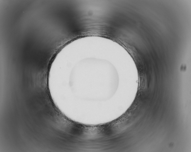 X0000101160301200807111035