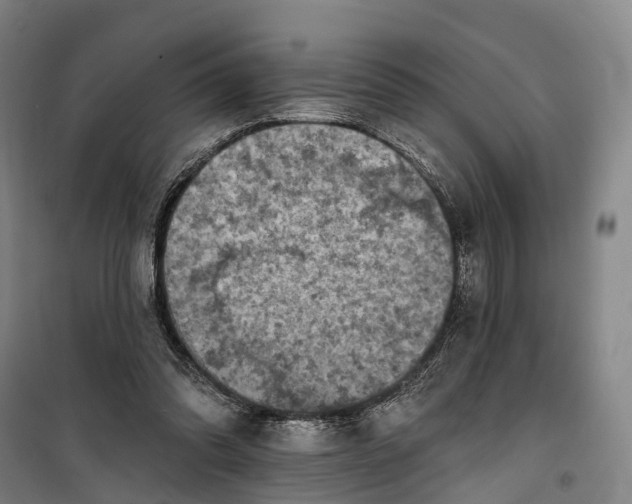 X0000101160302200807111035