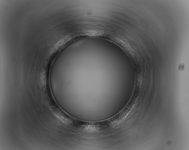 X0000101160303200807111035