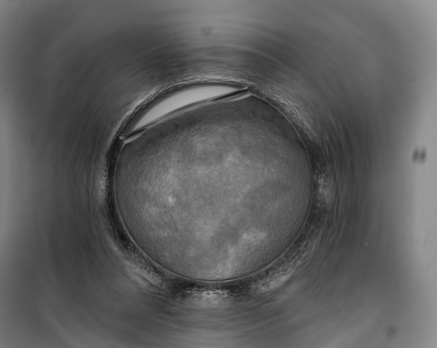 X0000101160304200807111035