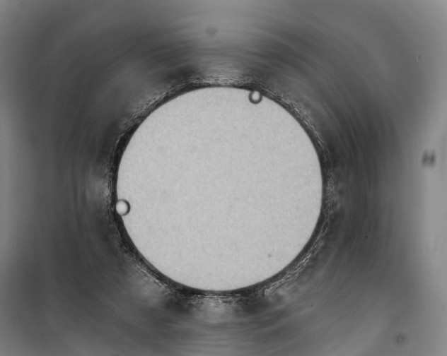 X0000101160305200807111035