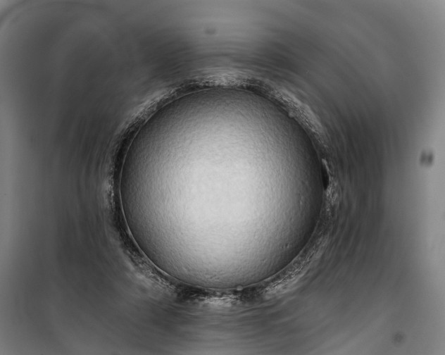 X0000101160306200807111035