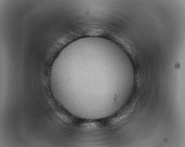 X0000101160307200807111035