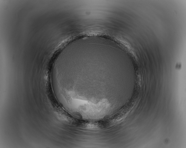 X0000101160308200807111035