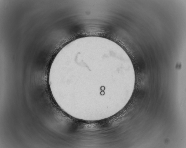 X0000101160309200807111035