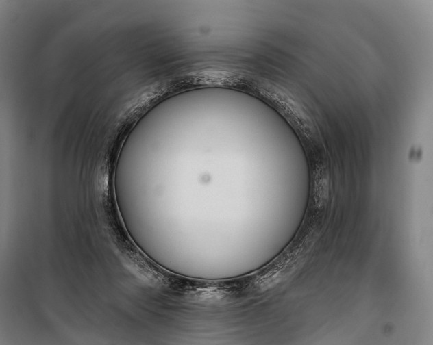 X0000101160310200807111035