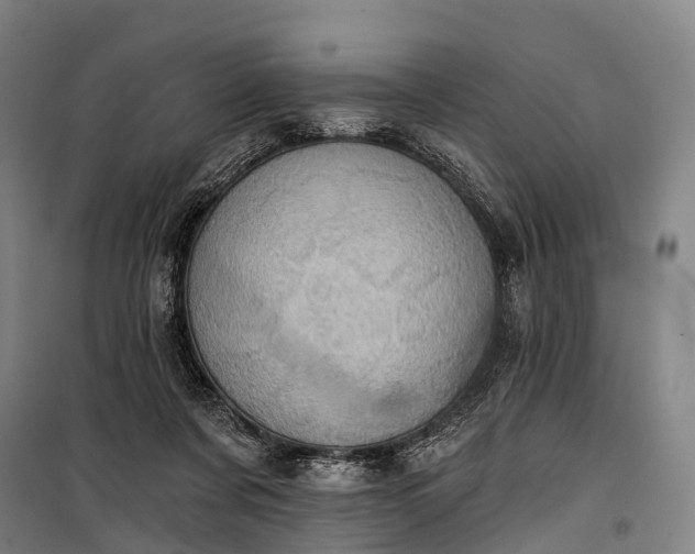 X0000101160311200807111035