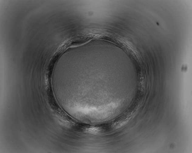 X0000101160312200807111035