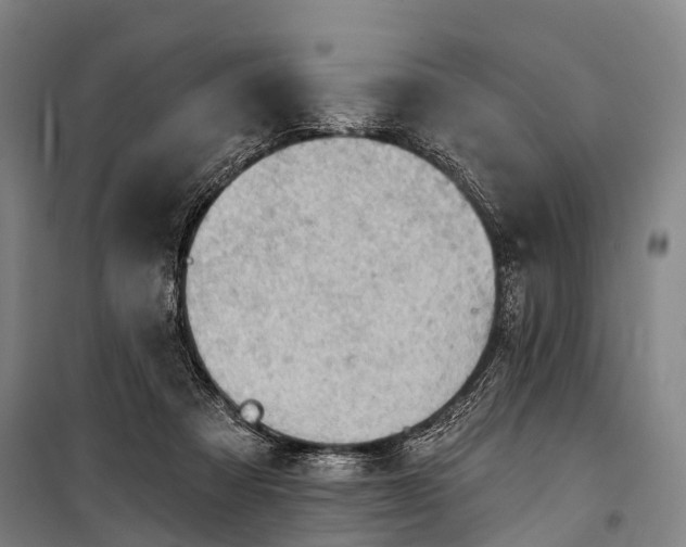 X0000101160313200807111035