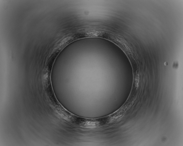 X0000101160314200807111035