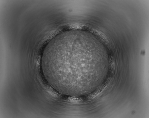 X0000101160315200807111035