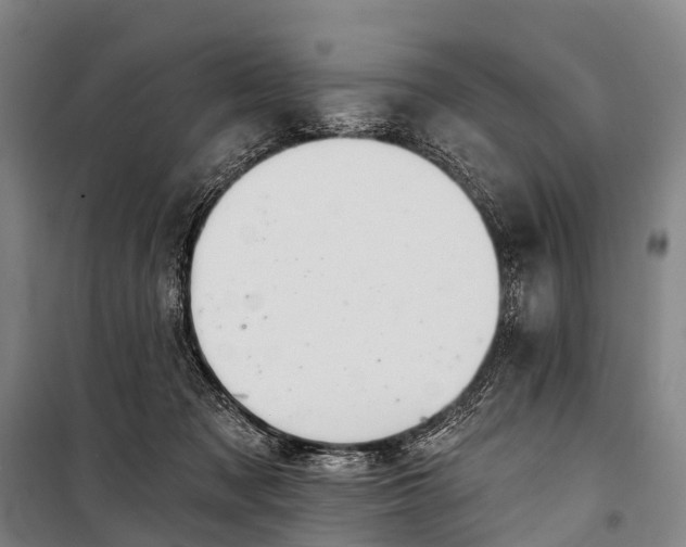 X0000101160317200807111035