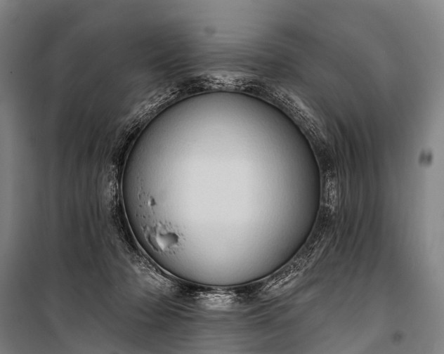 X0000101160318200807111035