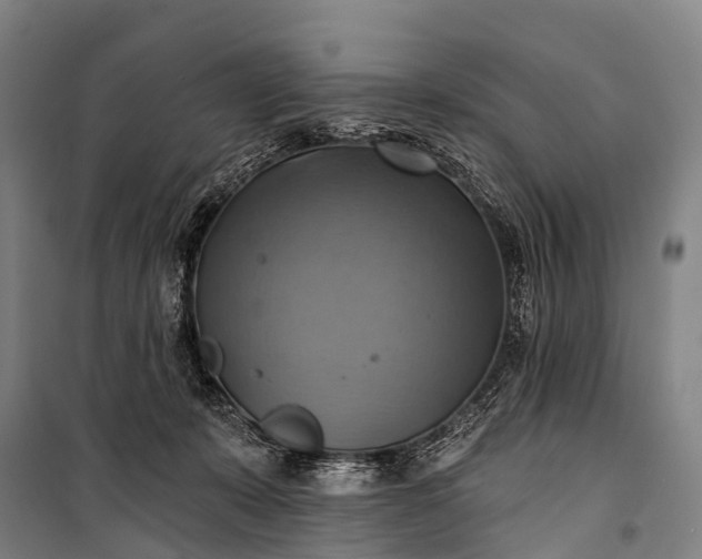 X0000101160319200807111035