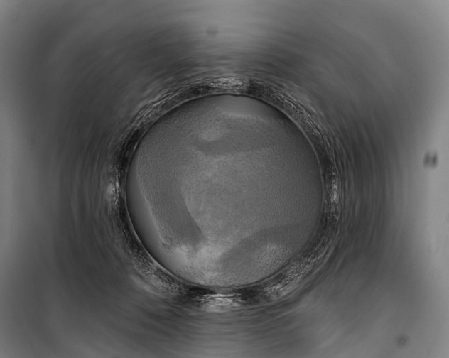 X0000101160320200807111035