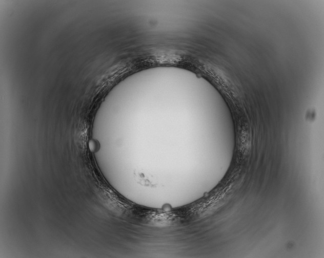 X0000101160321200807111035