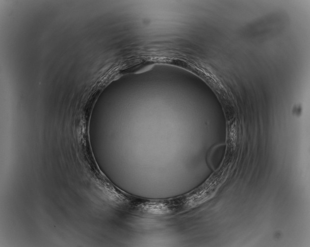 X0000101160322200807111035