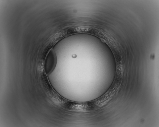 X0000101160323200807111035