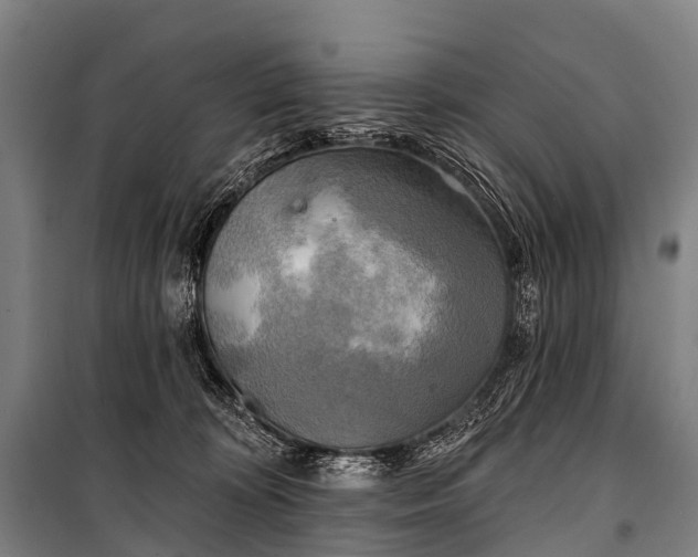 X0000101160324200807111035