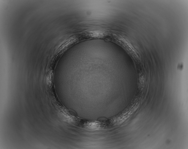 X0000101160325200807111035