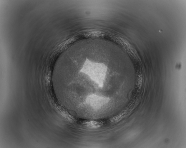 X0000101160326200807111035