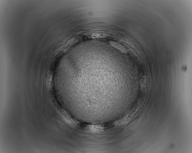 X0000101160327200807111035