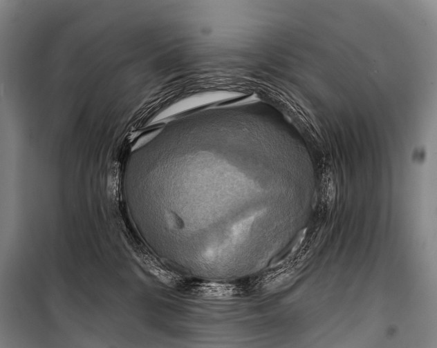 X0000101160328200807111035