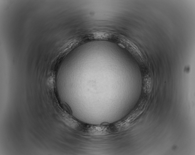 X0000101160329200807111035