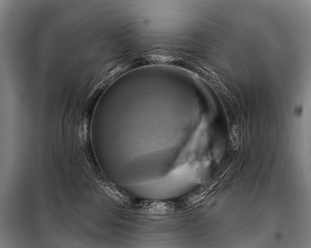 X0000101160330200807111035