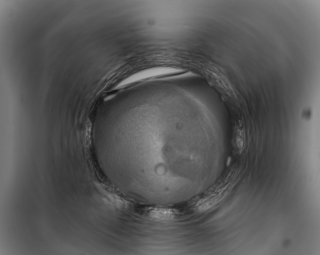 X0000101160332200807111035