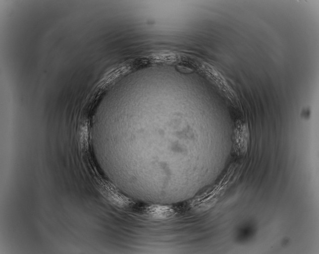 X0000101160333200807111035