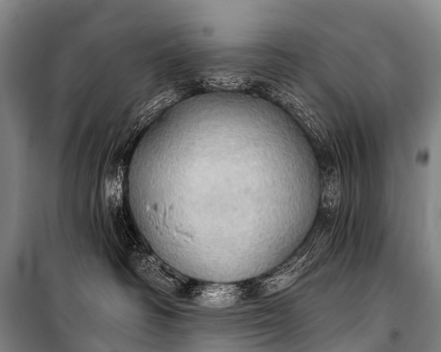 X0000101160334200807111035