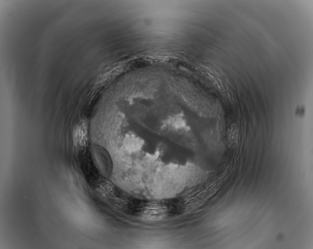 X0000101160335200807111035