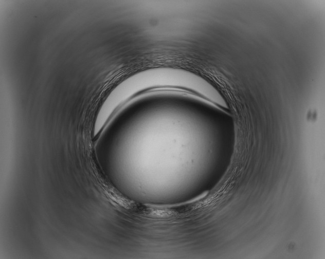 X0000101160336200807111035