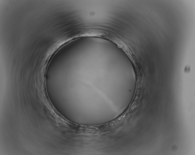 X0000101160337200807111034