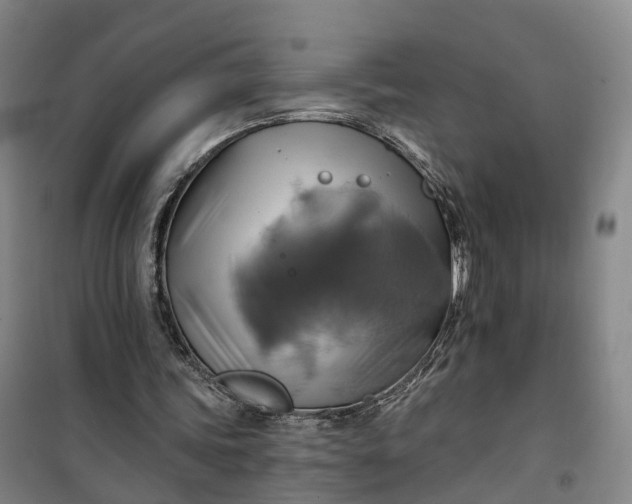 X0000101160339200807111034