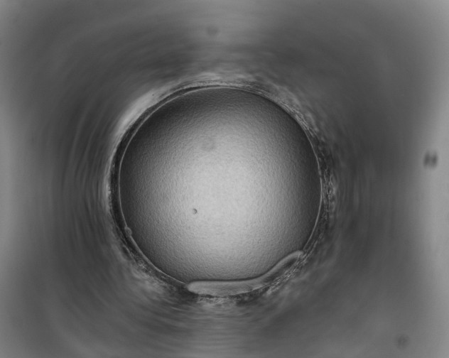 X0000101160340200807111034