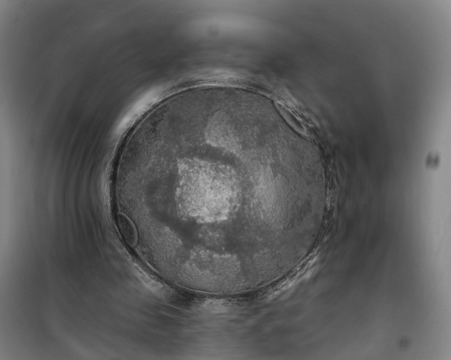 X0000101160341200807111034