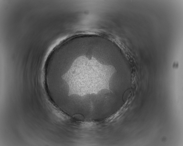 X0000101160342200807111034